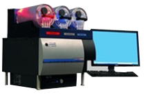 Stratedigm��ʽ�����x