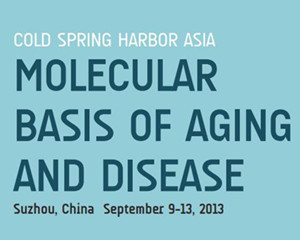 ˥�Ϻͼ����ķ��ӻ��A(ch��)