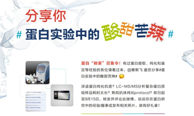 ��텢�c΢Ԓ�}����������Ԓ����