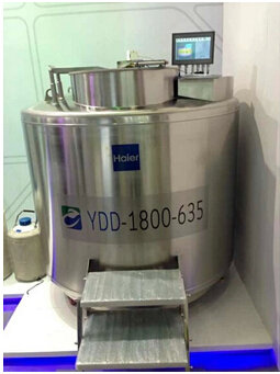 ����Һ����