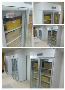 ���ҡ��ȡ��������������t(y��)����������ɽ��Ԯ�����ͨ��