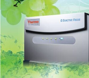 ِĬ�w����e�kQE Focus��Ʒ�l(f��)�����߼��g(sh��)������