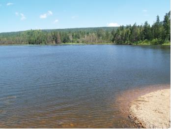 ِĬ�w�l(f��)��ˮ�|(zh��)���軯��y(c��)����Q����