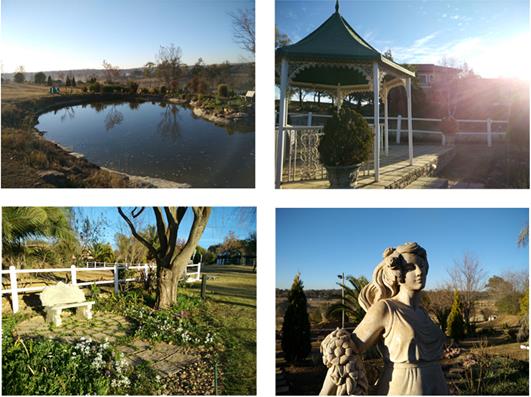 ���@��ľƵ����͑􌦴�ٝ���^��