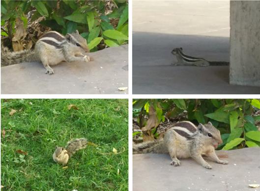 �S̎��Ҋ������ - ��־��չ