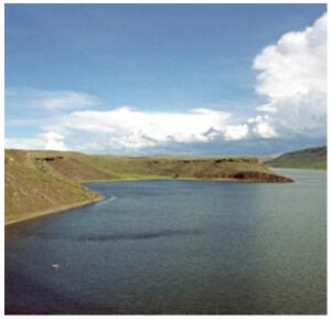 ������ȡ-����ɫ�V(GC-FID) �������y(c��)���h(hu��n)��ˮ�е��ɹ�(ji��)�ͽ�Q����