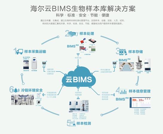 ��BIMS���w��Q����