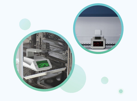 �|�V����\(ch��ng)��ȫ�Ԅ�(d��ng)�����@΢����ϵ�y(t��ng)������