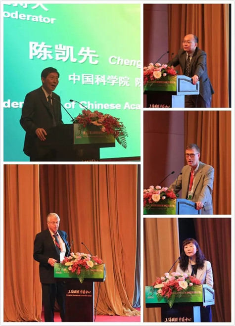 ��ʮ�ˌ��Ϻ���(gu��)�H���＼�g(sh��)�c�t(y��)ˎ��ӑ��(hu��)�ڜ����_(k��i)