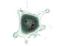 ��(x��)������