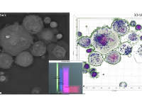 CTC��(x��)���o�p���b��