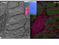 �o��(bi��o)ӛ�M������