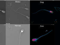 �o��(bi��o)ӛ�����о�