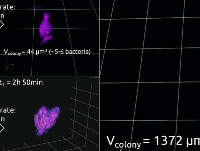 ��(x��)�����L����