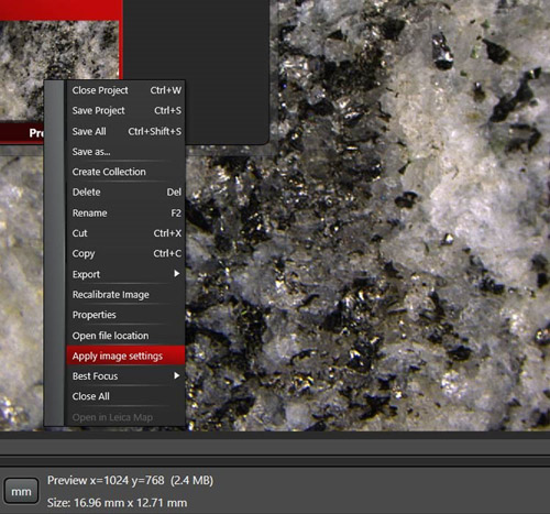 默瑞攜徠卡M165 C顯微鏡亮相動(dòng)物實(shí)驗(yàn)操作技術(shù)國際講習(xí)班