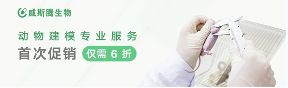 威斯騰動物建模專業(yè)服務(wù)首次促銷6折優(yōu)惠