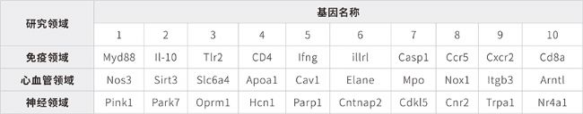 限時團(tuán)購表格