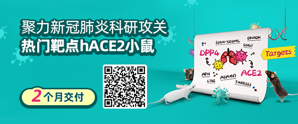 �¹ڷ��ן��T���c(di��n)ACE2С��