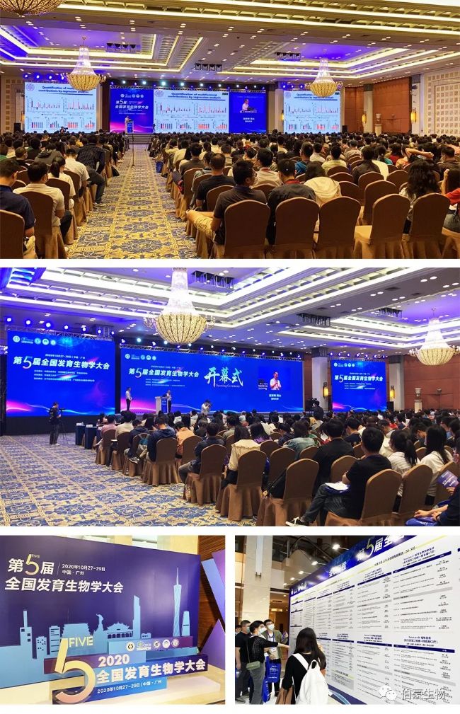 �������(y��ng)����չ�����ȫ��(gu��)�l(f��)������W(xu��)���(hu��)1