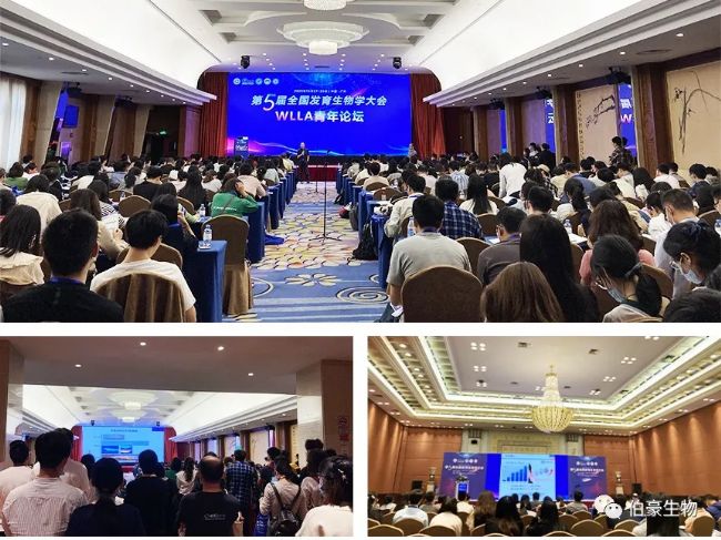 �������(y��ng)����չ�����ȫ��(gu��)�l(f��)������W(xu��)���(hu��)4