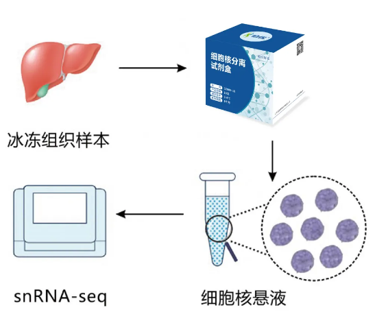 ��������μ�(x��)���˷��xԇ����