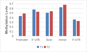 4. eccDNA�׻���ˮƽ�y(t��ng)Ӌ