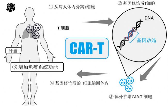 �Dʾ, ʾ��D�������Ԅ�(d��ng)����