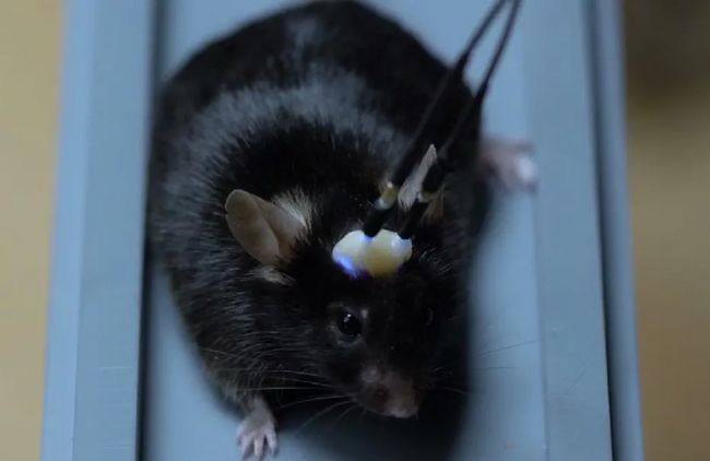 �_���� | �մɲ�ᘵ�������������ʡ�X����_����