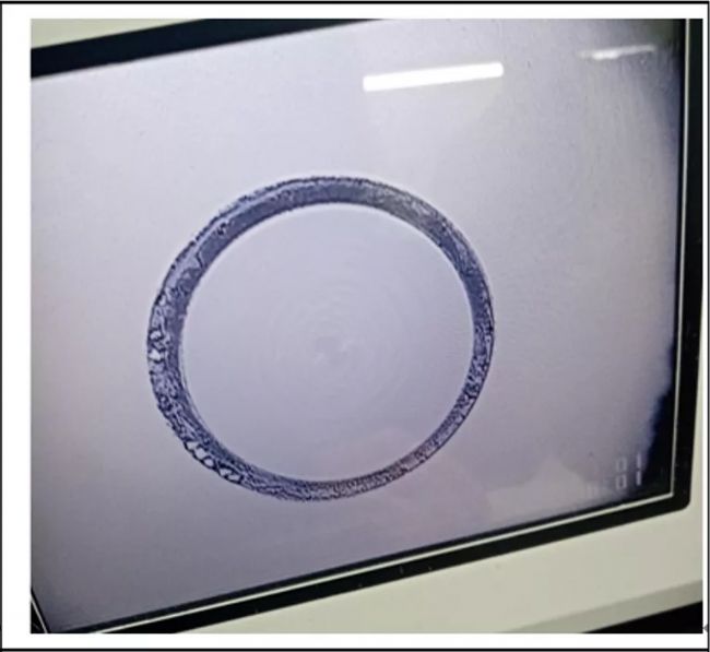 �_���� | �մɲ�ᘵ������ۣ�����ʡ�X����_����