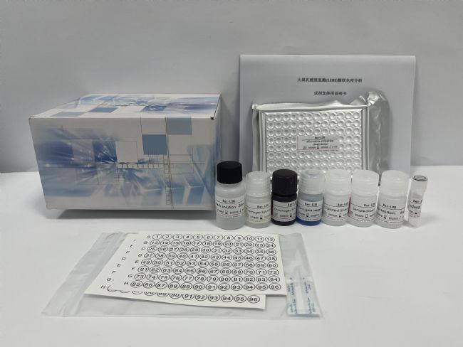 ����ԇ����