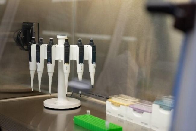 ���ڳ��������_�е�Flex���֧���ϴ����6֧SWITCH�������Һ����