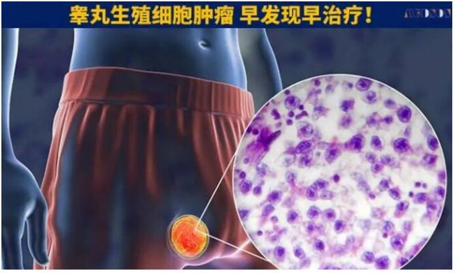 圖示描述已自動(dòng)生成