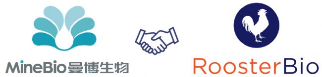 曼博生物官方代理RoosterBio