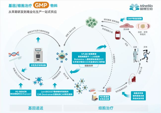 曼博生物專注CGT全流程產(chǎn)品解決方案
