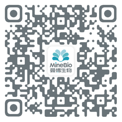 ��������(li��n)ϵ��ʽ-��С��